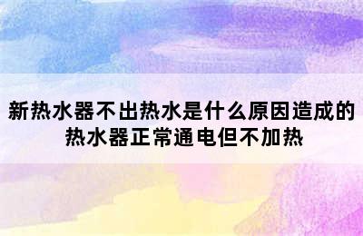 新热水器不出热水是什么原因造成的 热水器正常通电但不加热